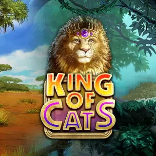 Enjoy Playing king of cats
